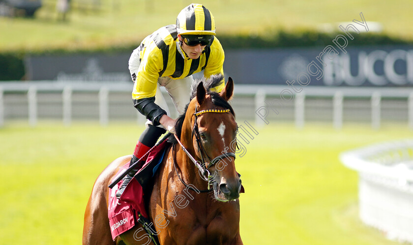 Eldar-Eldarov-0001 
 ELDAR ELDAROV (David Egan)
Goodwood 1 Aug 2023 - Pic Steven Cargill / Racingfotos.com