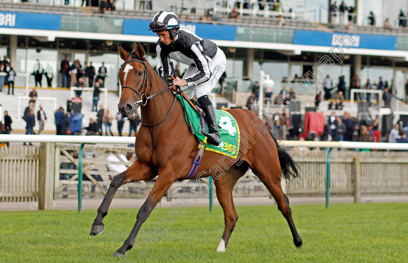 Classical-Song-0001 
 CLASSICAL SONG (Rossa Ryan)
Newmarket 13 Oct 2023 - Pic Steven Cargill / Racingfotos.com