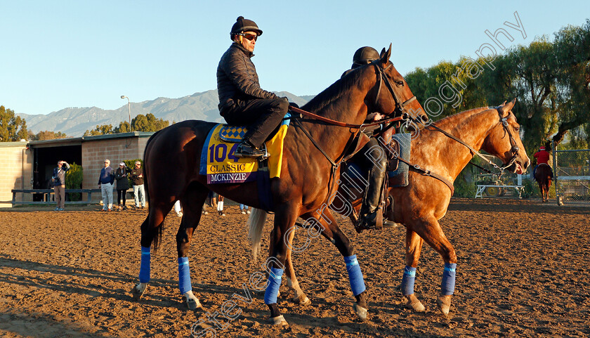 Mckinzie-0008 
 MCKINZIE training for The Breeders' Cup Classic
Santa Anita USA 31 Oct 2019 - Pic Steven Cargill / Racingfotos.com