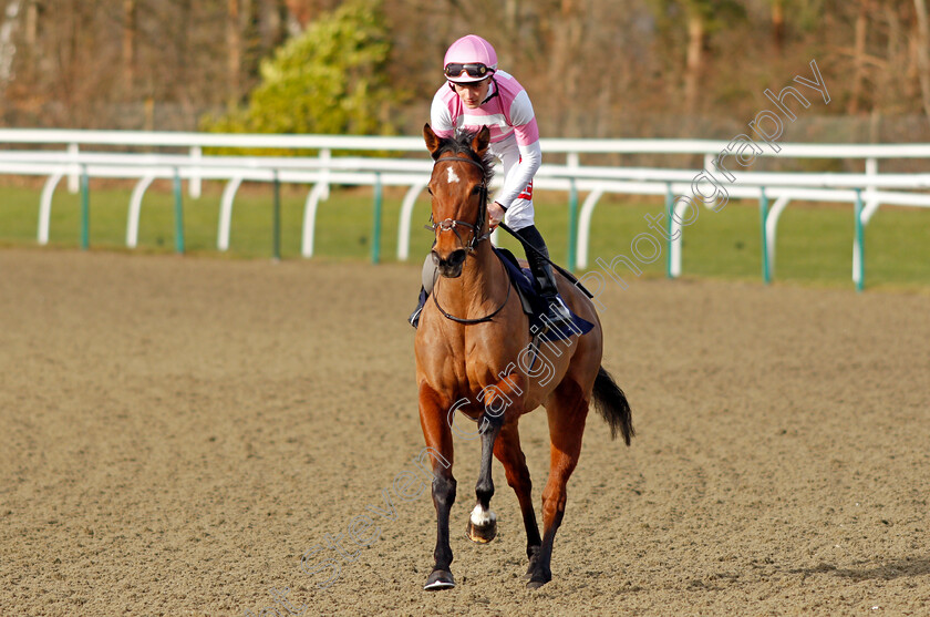 Mist-Of-The-Deep-0001 
 MIST OF THE DEEP (Tyler Heard)
Lingfield 5 Feb 2022 - Pic Steven Cargill / Racingfotos.com