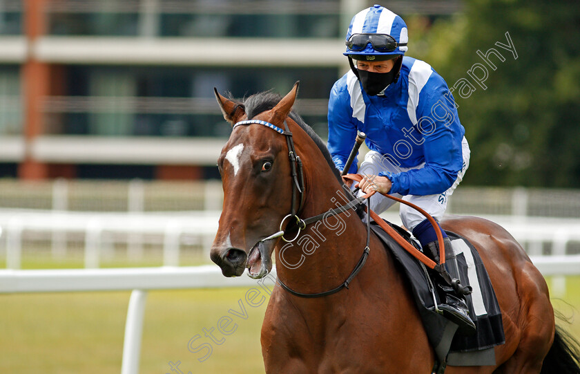 Mujbar-0001 
 MUJBAR (Jim Crowley)
Newbury 19 Jul 2020 - Pic Steven Cargill / Racingfotos.com