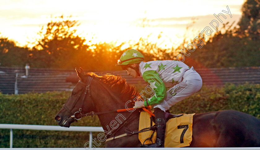 Sapphire-Sirocco-0002 
 SAPPHIRE SIROCCO (Paddy Bradley)
Kempton 28 Aug 2024 - Pic Steven Cargill / Racingfotos.com