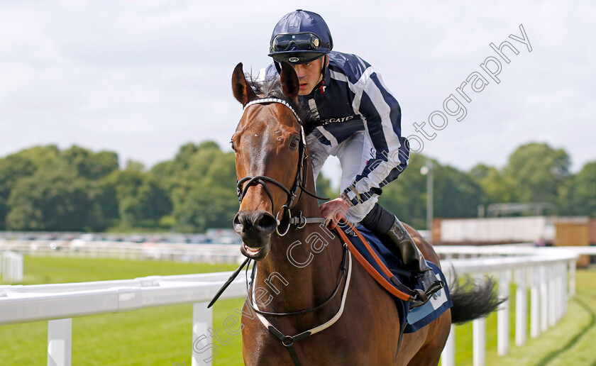 Al-Simmo 
 AL SIMMO (Clifford Lee)
York 10 Jun 2022 - Pic Steven Cargill / Racingfotos.com