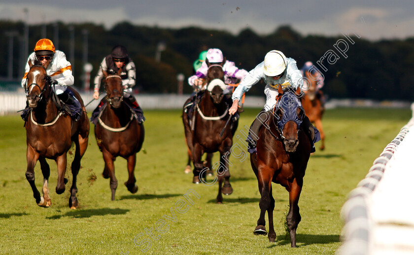 Pivoine-0001 
 PIVOINE (Ryan Moore) wins The Coopers Marquees Classified Stakes Doncaster 15 Sep 2017 - Pic Steven Cargill / Racingfotos.com