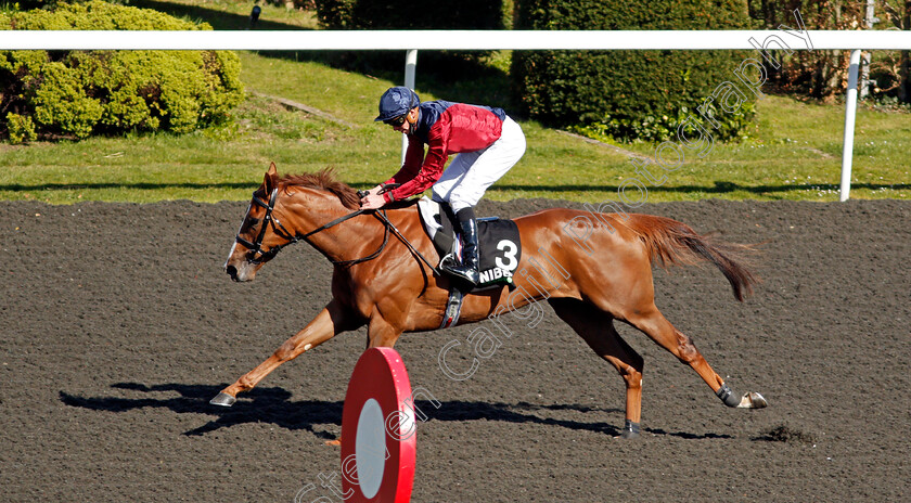 Lilac-Road-0006 
 LILAC ROAD (James Doyle) wins The Unibet You're On Fillies Conditions Stakes
Kempton 5 Apr 2021 - Pic Steven Cargill / Racingfotos.com