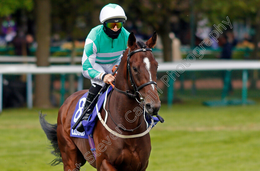 Headingley-0001 
 HEADINGLEY (Ben Curtis)
Haydock 22 May 2021 - Pic Steven Cargill / Racingfotos.com