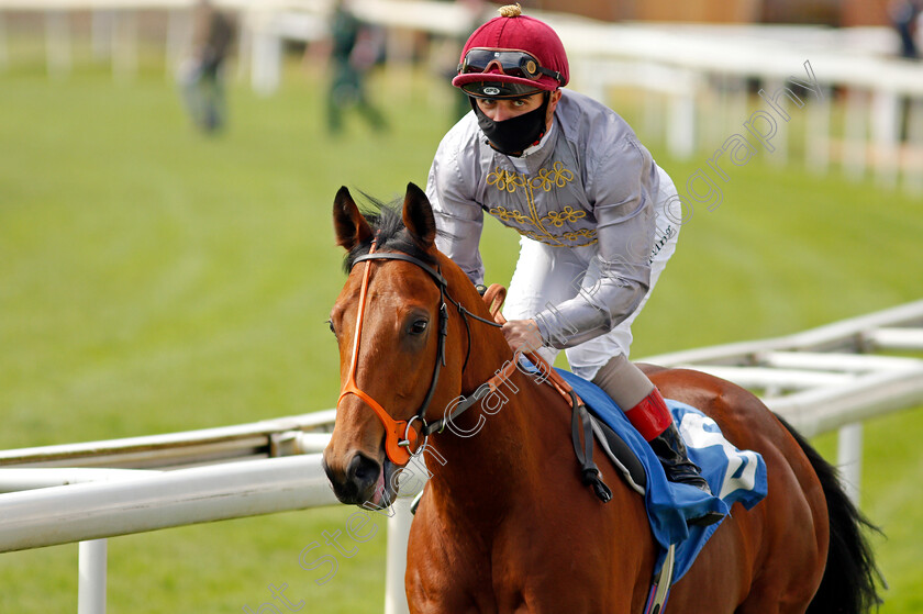 Lusail-0001 
 LUSAIL (Andrea Atzeni) winner of The Constant Security ebfstallions.com Maiden Stakes
York 13 May 2021 - Pic Steven Cargill / Racingfotos.com