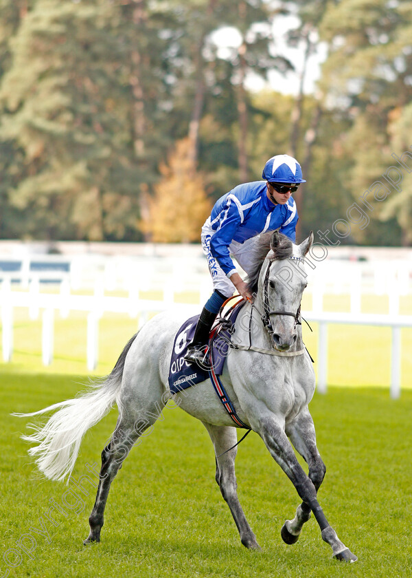 Librisa-Breeze-0001 
 LIBRISA BREEZE (Joey Haynes)
Ascot 19 Oct 2019 - Pic Steven Cargill / Racingfotos.com