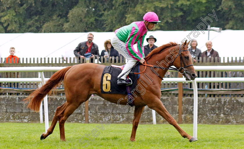 Seaward-0001 
 SEAWARD (Rob Hornby)
Newmarket 5 Aug 2023 - Pic Steven Cargill / Racingfotos.com