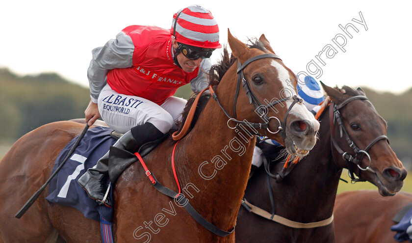 Sandfrankskipsgo-0005 
 SANDFRANKSKIPSGO (Pat Dobbs) wins The Call Star Sports On 08000 521 321 Handicap
Lingfield 3 Oct 2019 - Pic Steven Cargill / Racingfotos.com