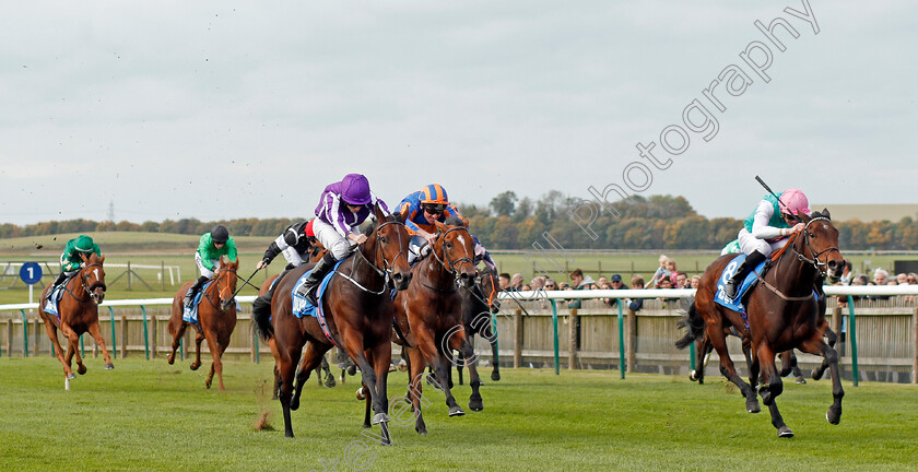 Gavota-and-I-Can-Fly-0001 
 GAVOTA (right, James Doyle) and I CAN FLY (left) Newmarket 13 Oct 2017 - Pic Steven Cargill / Racingfotos.com