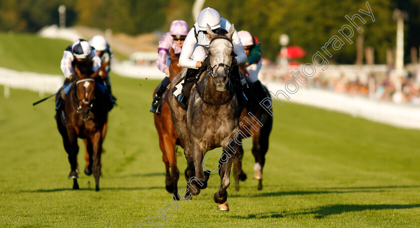 Misty-Dancer-0005 
 MISTY DANCER (Harry Burns) wins The William Hill Pick Your Places Maiden Fillies Stakes
Goodwood 26 Aug 2022 - Pic Steven Cargill / Racingfotos.com