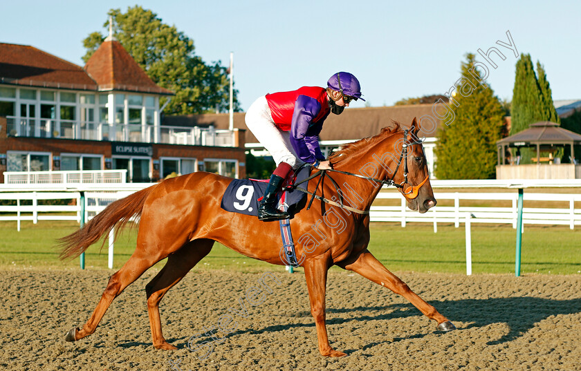 American-Pie-0001 
 AMERICAN PIE (Rob Hornby)
Lingfield 4 Aug 2020 - Pic Steven Cargill / Racingfotos.com