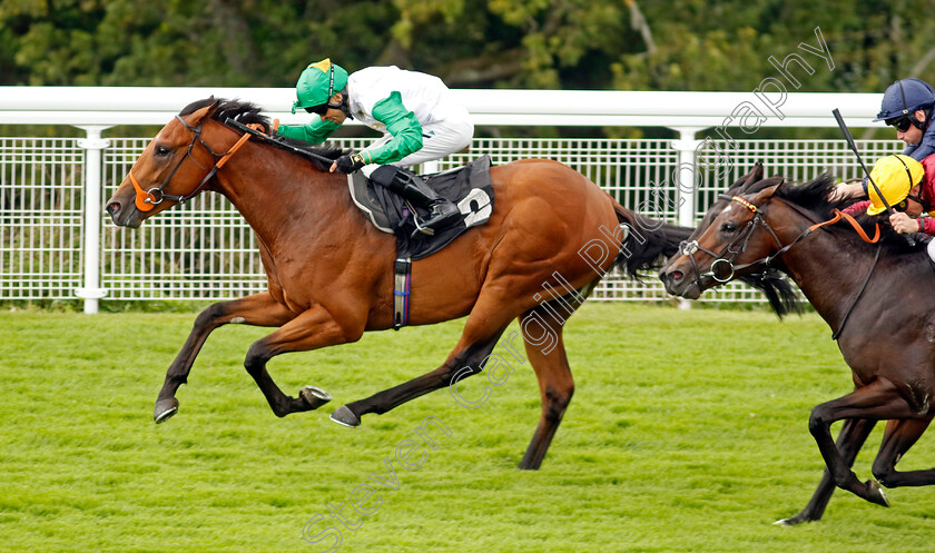 Haatem-0005 
 HAATEM (Sean Levey) wins The Nicholson Gin Vintage Stakes
Goodwood 1 Aug 2023 - Pic Steven Cargill / Racingfotos.com