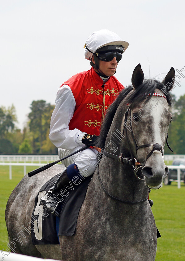 Jasour-0006 
 JASOUR (Jim Crowley) winner of The Commonwealth Cup Trial Stakes
Ascot 1 May 2024 - Pic Steven Cargill / Racingfotos.com