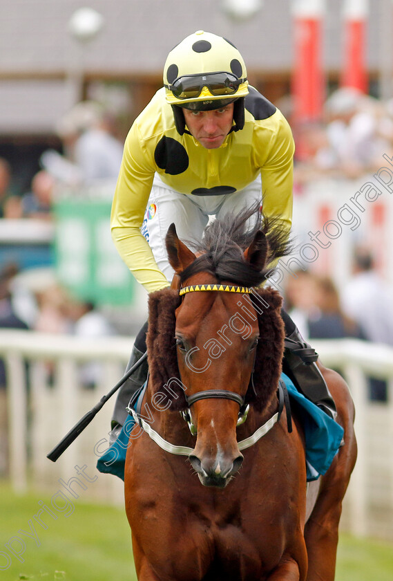 Quintus-Arrius-0001 
 QUINTUS ARRIUS (Tom Eaves)
York 17 Jun 2023 - Pic Steven Cargill / Racingfotos.com