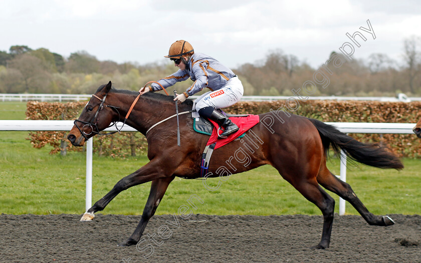 Action-Point-0001 
 ACTION POINT (Hollie Doyle) wins The Racing TV/EBF Restricted Novice Stakes
Kempton 10 Apr 2023 - Pic Steven Cargill / Racingfotos.com