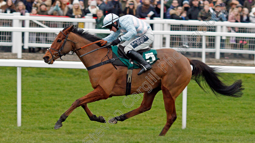 Summerville-Boy-0007 
 SUMMERVILLE BOY (Jonathan Burke) wins The Dornan Engineering Relkeel Hurdle
Cheltenham 1 Jan 2020 - Pic Steven Cargill / Racingfotos.com