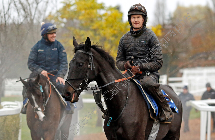 Strong-Leader-0002 
 STRONG LEADER
Coral Gold Cup gallops morning Newbury 19 Nov 20234 - Pic Steven Cargill / Racingfotos.com