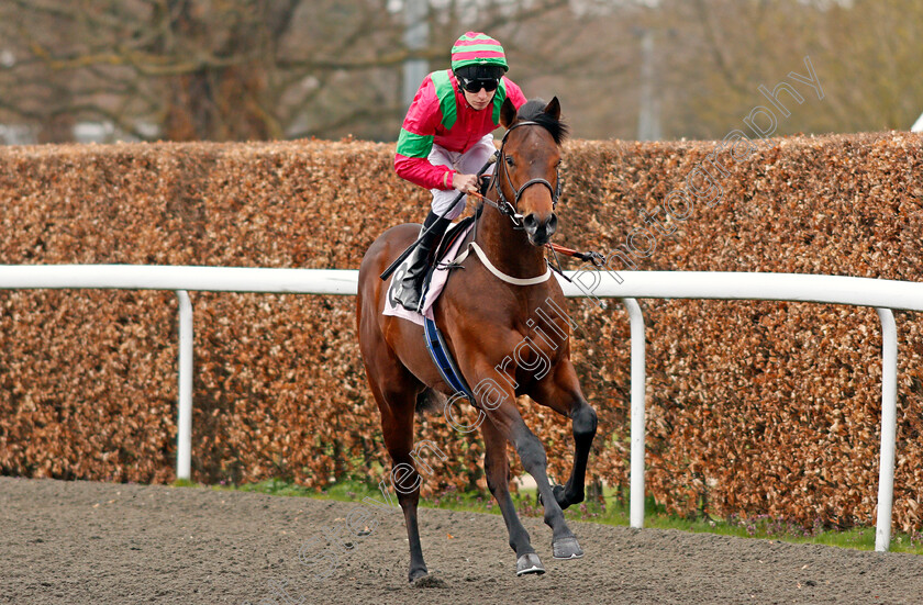 Sir-Ox-0001 
 SIR OX (Luke Morris) Kempton 7 Apr 2018 - Pic Steven Cargill / Racingfotos.com