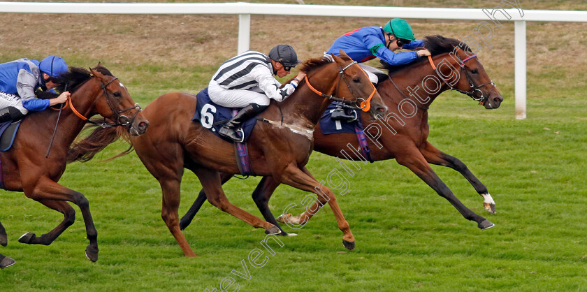 Time-Step-0002 
 TIME STEP (farside, Harry Davies) beats MAJESKI MAN (6) in The Sea Deer Handicap
Yarmouth 14 Sep 2022 - Pic Steven Cargill / Racingfotos.com