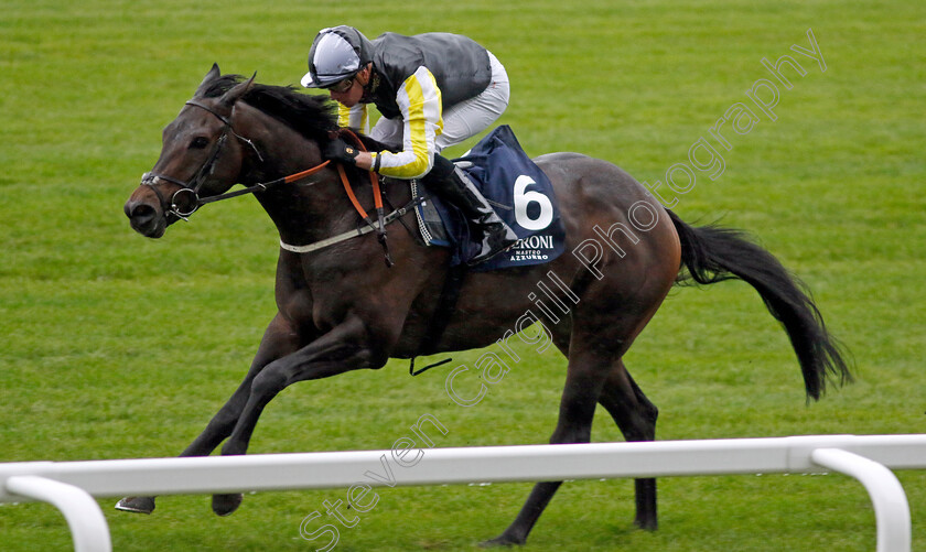 Lethal-Nymph-0004 
 LETHAL NYMPH (John Fahy) wins The Peroni Nastro Azzurro Handicap
Ascot 30 Sep 2022 - Pic Steven Cargill / Racingfotos.com