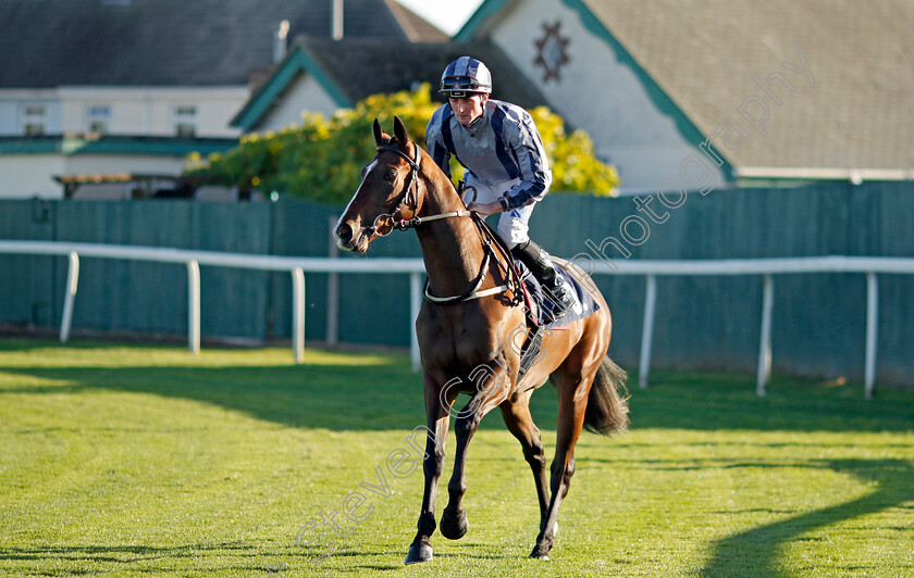 Hizaam-0001 
 HIZAAM (Harrison Shaw)
Yarmouth 18 Oct 2022 - Pic Steven Cargill / Racingfotos.com