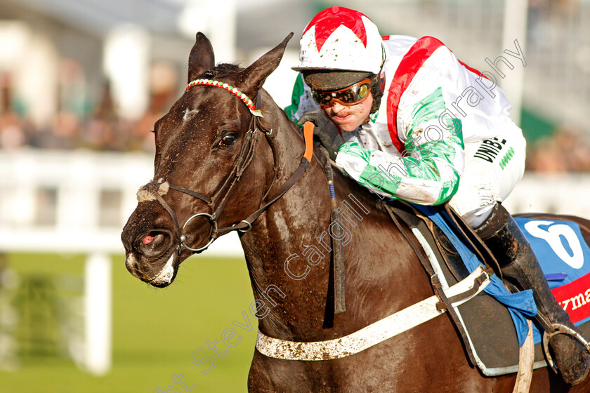 Mister-Fisher-0005 
 MISTER FISHER (Nico de Boinville) wins The Ryman Novices Chase
Cheltenham 14 Dec 2019 - Pic Steven Cargill / Racingfotos.com