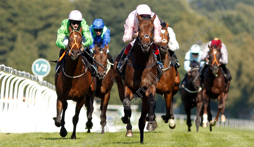 Too-Darn-Hot-0002 
 TOO DARN HOT (Frankie Dettori) wins The 188bet Solario Stakes
Sandown 1 Sep 2018 - Pic Steven Cargill / Racingfotos.com