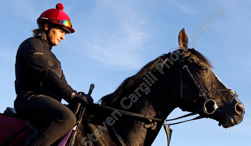 Auguste-Rodin-0004 
 AUGUSTE RODIN training for the Breeders' Cup Turf
Santa Anita USA, 1 Nov 2023 - Pic Steven Cargill / Racingfotos.com