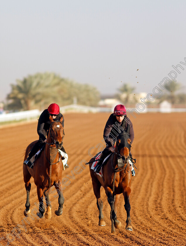 Luxembourg-and-Tower-Of-London-0003 
 LUXEMBOURG (left) with TOWER OF LONDON (right) training at The Saudi Cup
King Abdulaziz Racecourse, Saudi Arabia 21 Feb 2024 - Pic Steven Cargill / Racingfotos.com