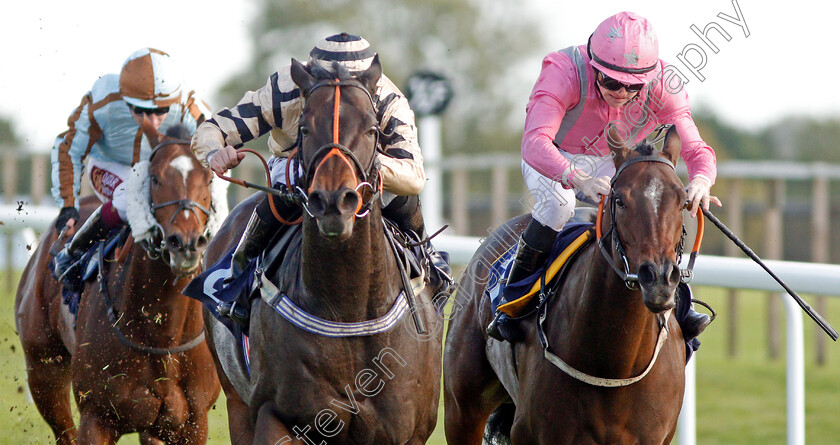 Doc-Sportello-0005 
 DOC SPORTELLO (left, Tom Marquand) beats FIRENZE ROSA (right) in The Download The Star Sports App Now Handicap
Bath 16 Oct 2019 - Pic Steven Cargill / Racingfotos.com