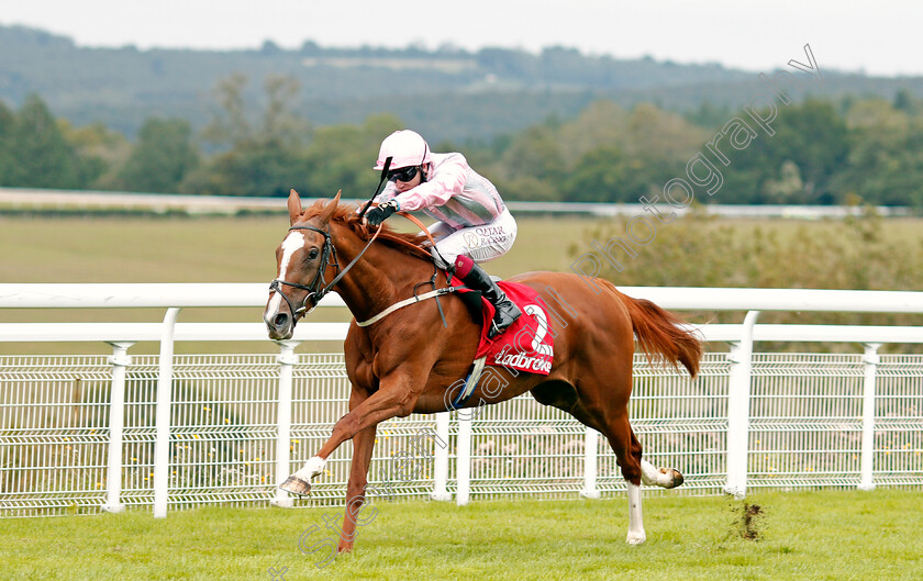 Urban-Artist-0004 
 URBAN ARTIST (Oisin Murphy) wins The Ladbrokes Best Odds Guaranteed Fillies Handicap
Goodwood 30 Aug 2020 - Pic Steven Cargill / Racingfotos.com