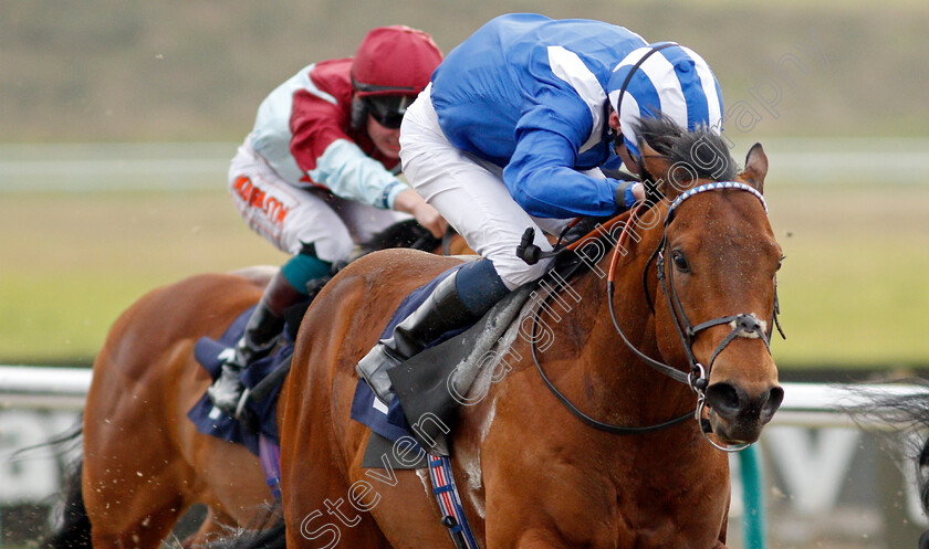 Badri-0006 
 BADRI (Kieran Shoemark) wins The Ladbrokes Handicap
Lingfield 14 Feb 2020 - Pic Steven Cargill / Racingfotos.com