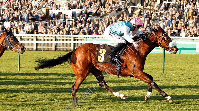 Chaleur-0005 
 CHALEUR (Richard Kingscote) wins The British Stallion Studs EBF Jersey Lily Fillies Nursery
Newmarket 29 Sep 2018 - Pic Steven Cargill / Racingfotos.com