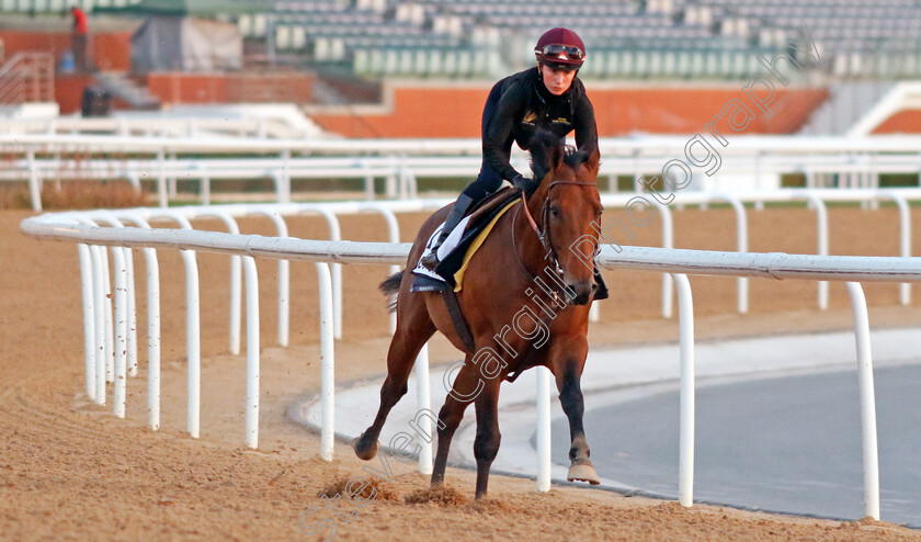 Bouttemont-0001 
 BOUTTEMONT training at Meydan, Dubai
2 Feb 2023 - Pic Steven Cargill / Racingfotos.com