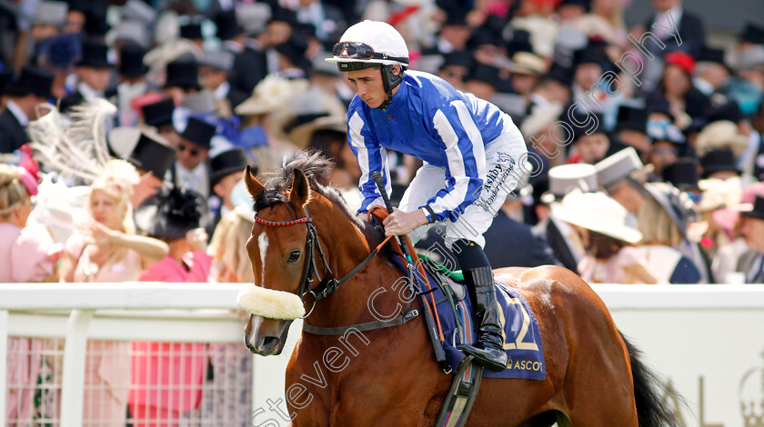 Nad-Alshiba-Snow-0001 
 NAD ALSHIBA SNOW (Rossa Ryan)
Royal Ascot 21 Jun 2024 - Pic Steven Cargill / Racingfotos.com