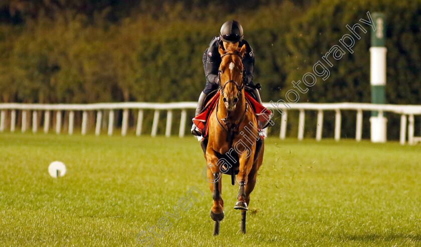 Geoglyph-0002 
 GEOGLYPH training for The Dubai World Cup
Meydan, Dubai, 22 Mar 2023 - Pic Steven Cargill / Racingfotos.com