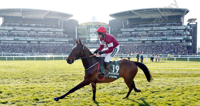 A-Toi-Phil-0002 
 A TOI PHIL (Denis O'Regan)
Aintree 6 Apr 2019 - Pic Steven Cargill / Racingfotos.com