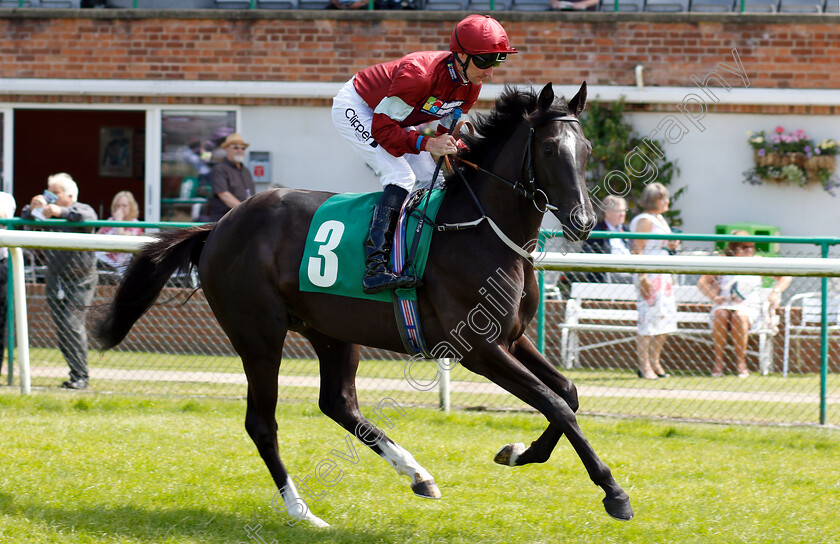 Prince-Elzaam-0001 
 PRINCE ELZAAM (Daniel Tudhope) before winning The Racing Welfare Racing Staff Week Novice Auction Stakes
Thirsk 4 Jul 2018 - Pic Steven Cargill / Racingfotos.com