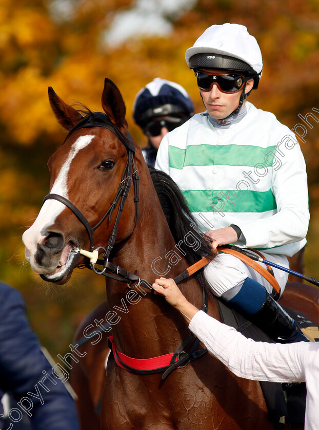 Marie-Laveau-0001 
 MARIE LAVEAU (William Buick)
Newmarket 19 Oct 2022 - Pic Steven Cargill / Racingfotos.com