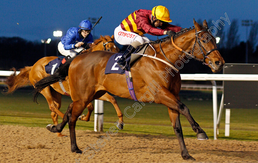 Sea-The-Shells-0006 
 SEA THE SHELLS (Franny Norton) wins The Get Your Ladbrokes Daily Odds Boost Novice Stakes
Wolverhampton 12 Mar 2021 - Pic Steven Cargill / Racingfotos.com