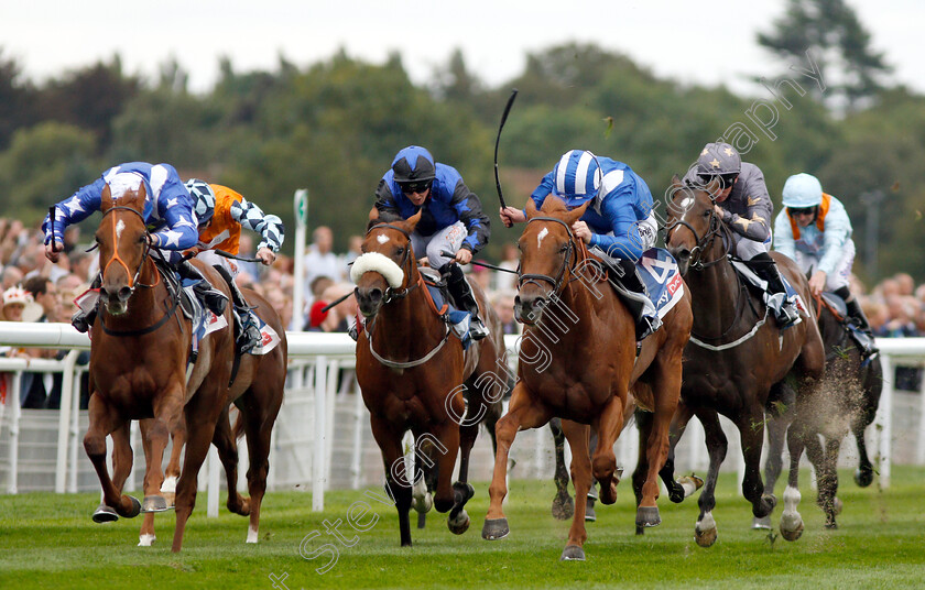 Ginger-Nut-0004 
 GINGER NUT (left, Oisin Murphy) beats MOYASSAR (right) in The Sky Bet Nursery
York 22 Aug 2018 - Pic Steven Cargill / Racingfotos.com