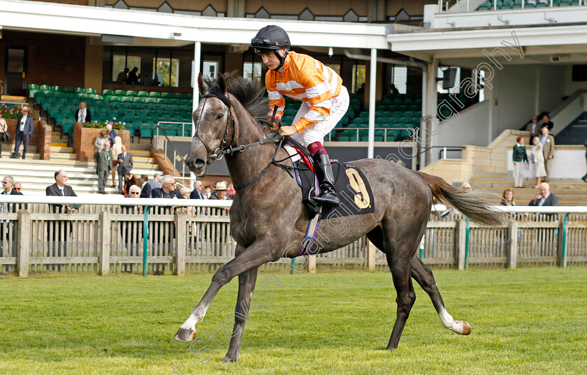 The-Renegade-0001 
 THE RENEGADE (Cieren Fallon)
Newmarket 22 Sep 2022 - Pic Steven Cargill / Racingfotos.com