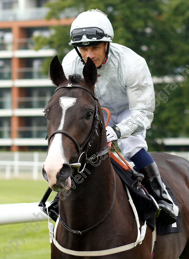 Gold-Souk-0001 
 GOLD SOUK (Silvestre De Sousa)
Newbury 13 Jun 2019 - Pic Steven Cargill / Racingfotos.com