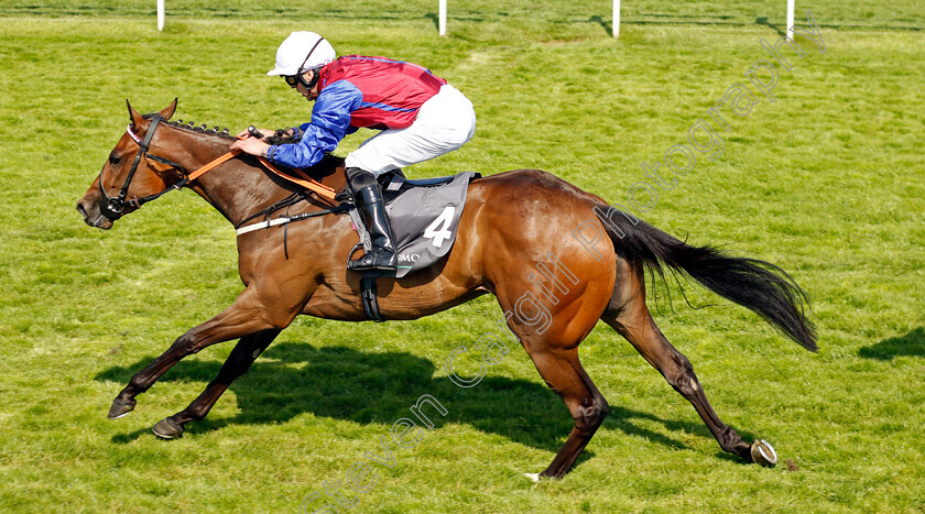 Harvanna-0001 
 HARVANNA (Clifford Lee) wins The Juddmonte British EBF Fillies Restricted Novice Stakes
York 16 Jun 2023 - Pic Steven Cargill / Racingfotos.com