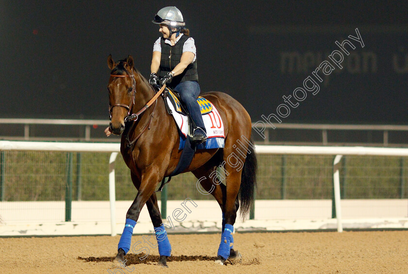 West-Coast-0009 
 WEST COAST exercising in preparation for the Dubai World Cup Meydan 29 Mar 2018 - Pic Steven Cargill / Racingfotos.com