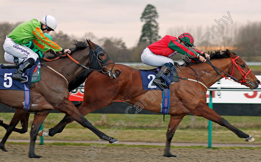 Easy-Tiger-0005 
 EASY TIGER (Georgia Cox) beats DUTCH UNCLE (left) in The Betway Apprentice Handicap Lingfield 2 Feb 2018 - Pic Steven Cargill / Racingfotos.com