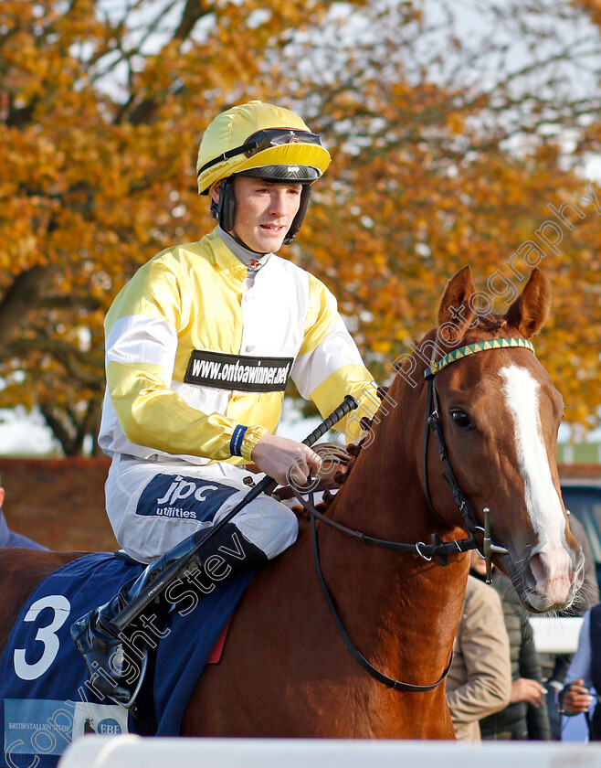 Dungar-Glory 
 DUNGAR GLORY (Lewis Edmunds)
Newmarket 30 Oct 2021 - Pic Steven Cargill / Racingfotos.com