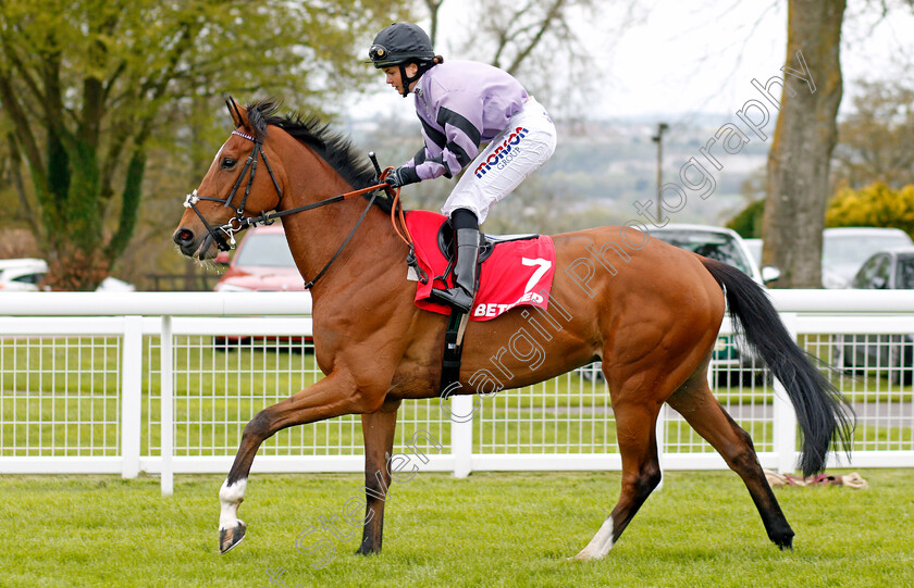 Moabit-0001 
 MOABIT (Megan Nicholls) before winning The Betfred City Bowl Handicap Salisbury 29 Apr 2018 - Pic Steven Cargill / Racingfotos.com